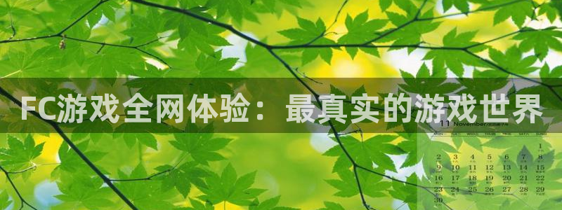 奇亿娱乐集团：FC游戏全网体验：最真实的游戏世界