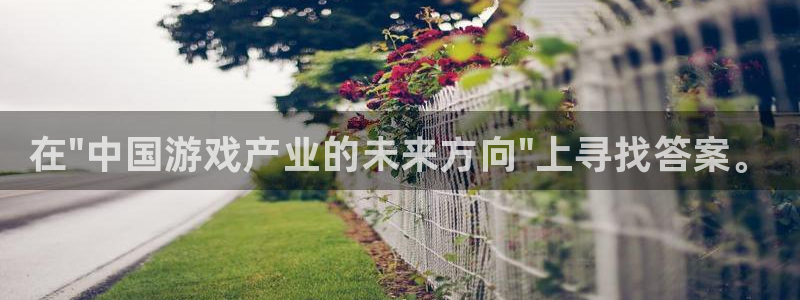 奇亿娱乐的意思：在\