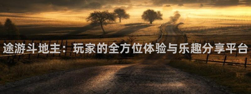 手机奇亿娱乐下载安装：途游斗地主：玩家的全方位体验与乐趣分享