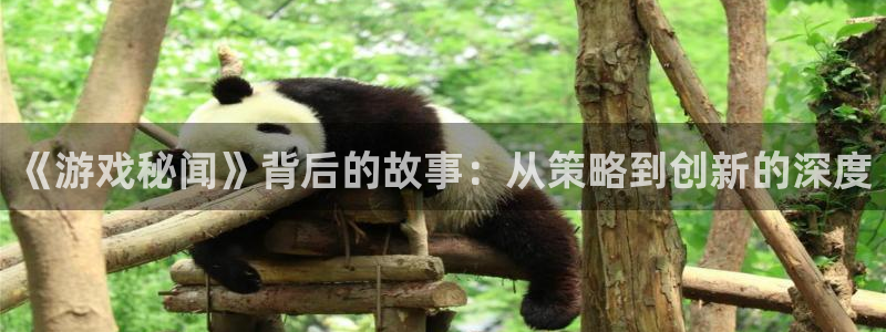 奇亿娱乐测速：《游戏秘闻》背后的故事：从策略到创新的深度