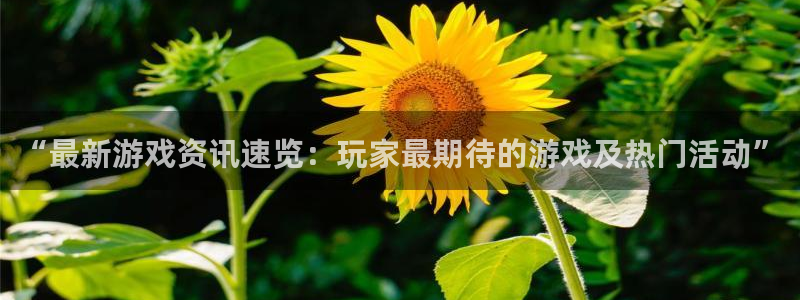 奇亿娱乐测速登陆：“最新游戏资讯速览：玩家最期待的游戏及热门