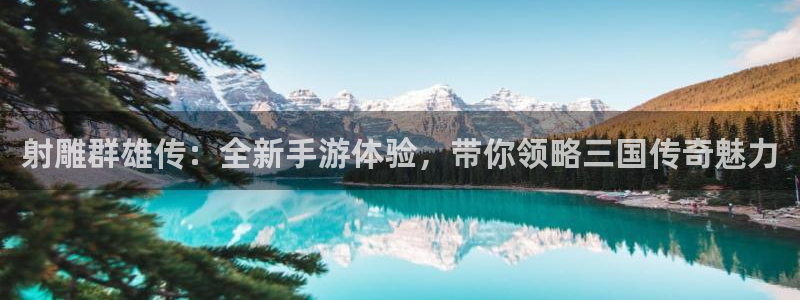 奇亿娱乐2首页登录：射雕群雄传：全新手游体验，带你领略三国传