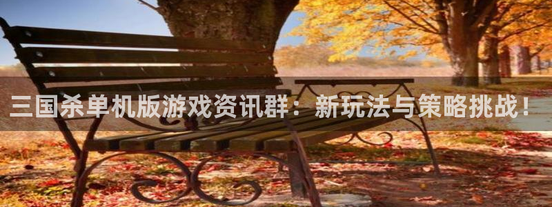 奇亿娱乐科技：三国杀单机版游戏资讯群：新玩法与策略挑战！