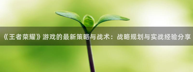 奇亿娱乐注册平台：《王者荣耀》游戏的最新策略与战术：战略规划