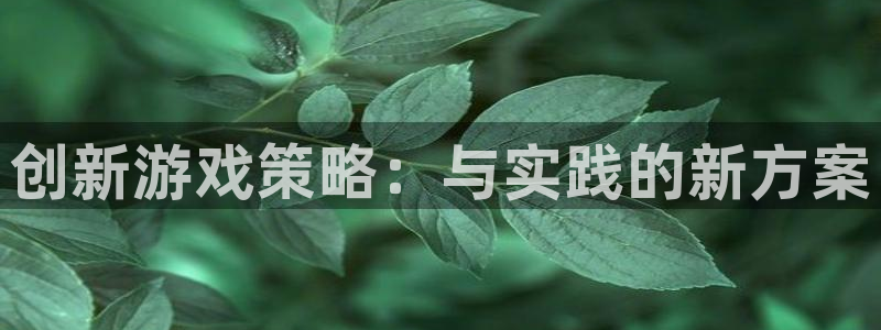 奇亿娱乐飞3.3.4.8.2菲特