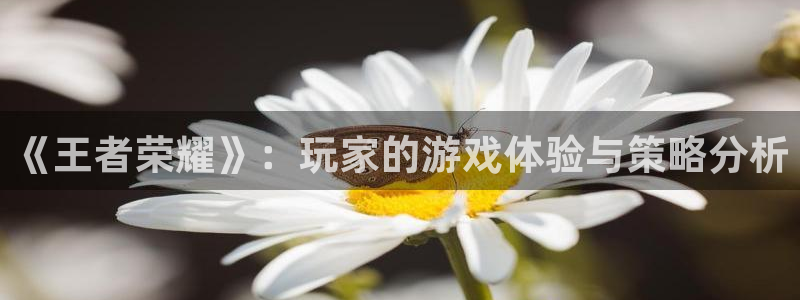 奇亿娱乐退款最新消息是真的吗：《王者荣耀》：玩家的游戏体验与